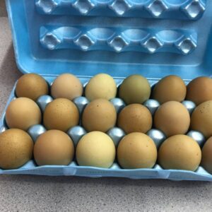 Eggs - 18 Eggs 1.5 Dozen XL/Lg Chicken