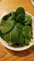 Bok Choi Leaves-Green