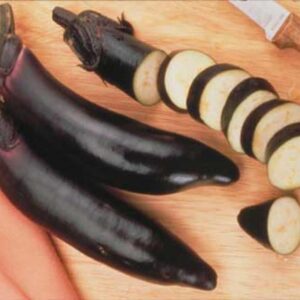 Seedlings - Eggplant Ichiban Seedlings