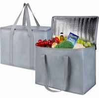 Reusable Tote Grey 2 Insulated Bag w/Tag